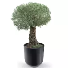 Donica z polietylenu LUNA PL-LU80 czarny