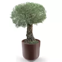 Donica z polietylenu LUNA PL-LU80 czekolada