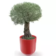 Donica z polietylenu LUNA PL-LU80 czerwony