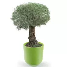 Donica z polietylenu LUNA PL-LU80 limonka