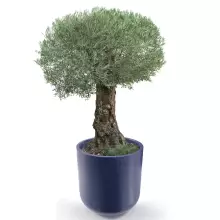 Donica z polietylenu LUNA PL-LU80 niebieski