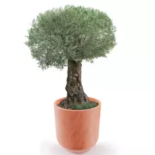 Donica z polietylenu LUNA PL-LU80 terakota