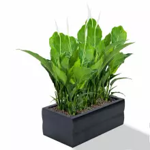 Donica z polietylenu NYX PL-NY30 czarny