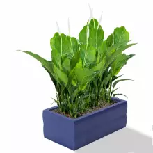 Donica z polietylenu NYX PL-NY30 niebieski