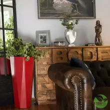 Donica z polietylenu OCTAVIA PL-OC79-PD czerwony