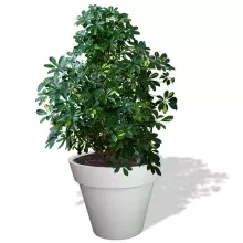 Donica z polietylenu SATURN PL-SA55 biały