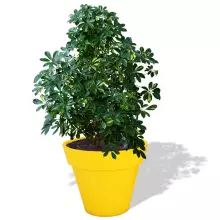 Donica z polietylenu SATURN PL-SA55 cytryna