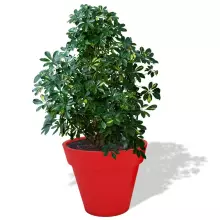 Donica z polietylenu SATURN PL-SA55-PD czerwony