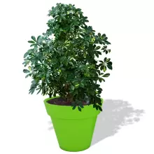 Donica z polietylenu SATURN PL-SA55 limonka