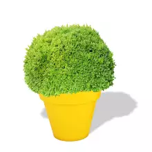 Donica z polietylenu SATURN PL-SA77 cytryna