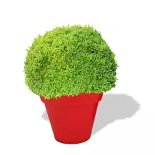 Donica z polietylenu SATURN PL-SA77 czerwony