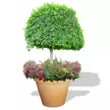 Donica z polietylenu SATURN PL-SA94 terakota