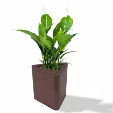 Donica z polietylenu TRITON PL-TR48 czekolada