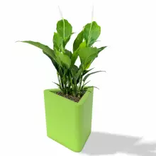 Donica z polietylenu TRITON PL-TR48-PD limonka