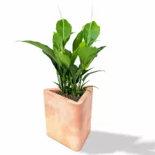 Donica z polietylenu TRITON PL-TR48 terakota