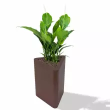 Donica z polietylenu TRITON PL-TR68-PD czekolada