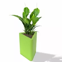 Donica z polietylenu TRITON PL-TR68 limonka