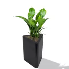 Donica z polietylenu TRITON PL-TR68 czarny