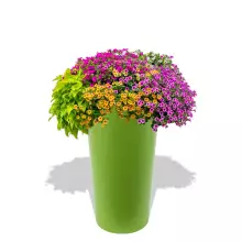 Donica z polietylenu URAN PL-UR128 limonka