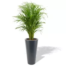 Donica z polietylenu VENUS PL-VE70-PD antracyt