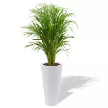 Donica z polietylenu VENUS PL-VE70 biały