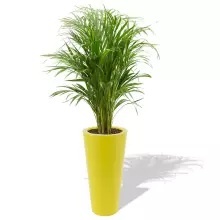 Donica z polietylenu VENUS PL-VE70-PD cytryna