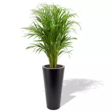 Donica z polietylenu VENUS PL-VE70-PD czarny