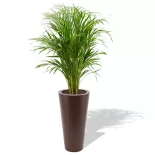 Donica z polietylenu VENUS PL-VE70-PD czekolada