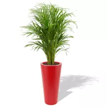 Donica z polietylenu VENUS PL-VE70-PD czerwony