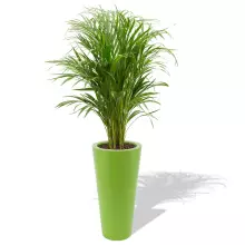 Donica z polietylenu VENUS PL-VE70-PD limonka