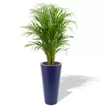 Donica z polietylenu VENUS PL-VE70-PD niebieski