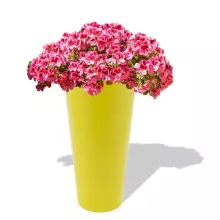 Donica z polietylenu VENUS PL-VE91-PD cytryna