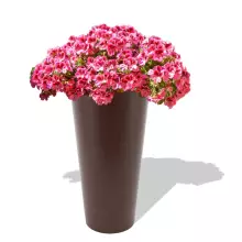 Donica z polietylenu VENUS PL-VE91 czekolada