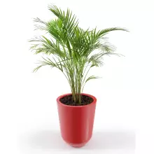 Donica z polietylenu WESTA PL-WE50 czerwony