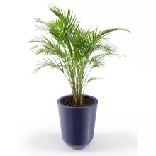 Donica z polietylenu WESTA PL-WE50 niebieski