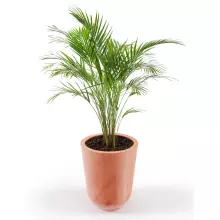 Donica z polietylenu WESTA PL-WE50 terakota