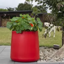 Donica z polietylenu ZOE PL-ZO50 czerwony