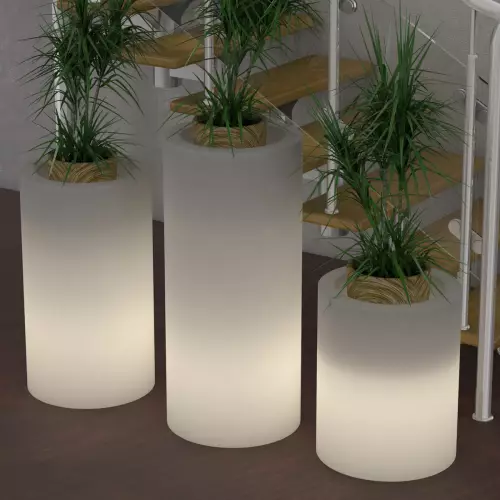 Podświetlane donice z juką