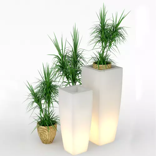 Podświetlane donice Juno wys. 75-92 cm z roślinami