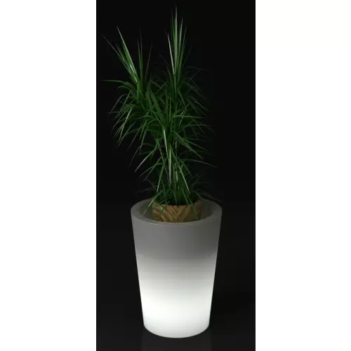 Podświetlana donica Uran z rośliną ozdobną