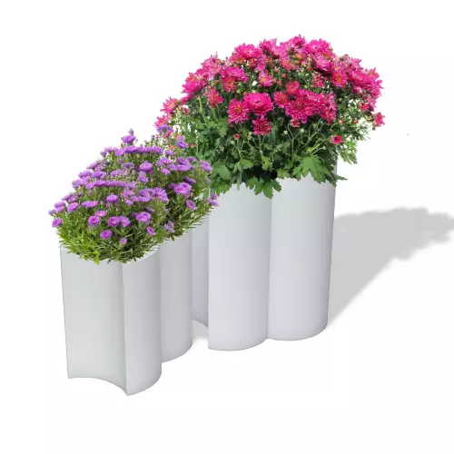 Białe donice Addpot 50 z astrem i Addpot 70 z chryzantemą