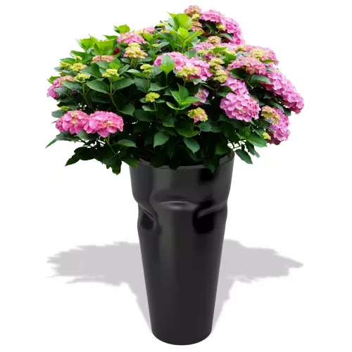 Czarna donica Bent z hortensją