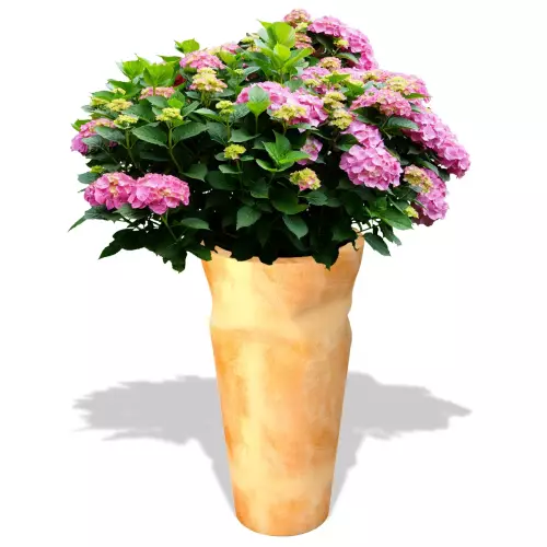 Donica Bent w kolorze terakoty z hortensją