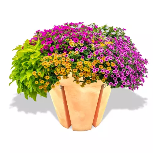 Donica Bikepot w kolorze terakoty z petuniami w aranżacji