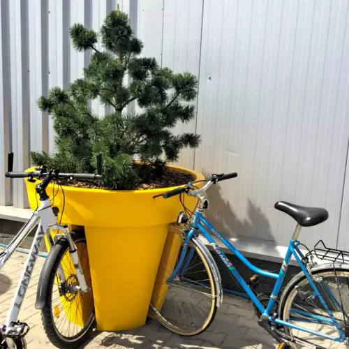 Żółty stojak na rowery BIKEPOT