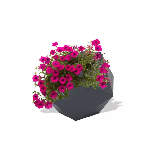 Antracytowa donica Dione z różowymi petuniami