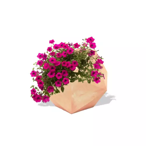 Terakotowa donica Dione z różowymi petuniami