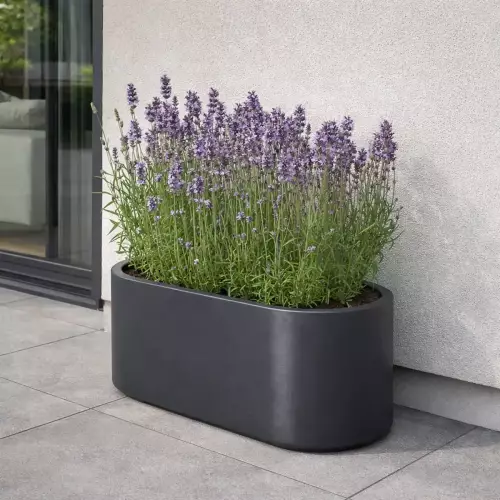 Donica PD Concept LETO antracyt