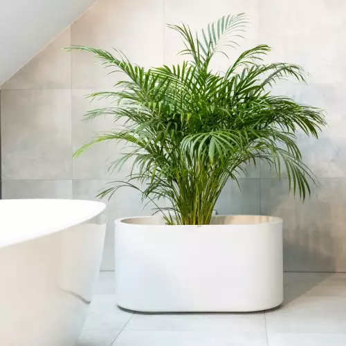 Donica LETO w kolorze białym