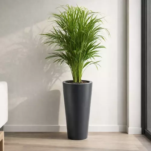 Donica PD CONCEPT VENUS Ø35x70 cm antracyt